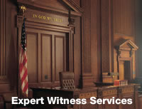 Expert Witness Services